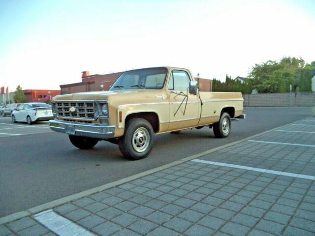 1977 Chevrolet C/K Pickup 2500 - photo 3