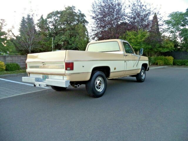 1977 Chevrolet C/K Pickup 2500 - photo 6