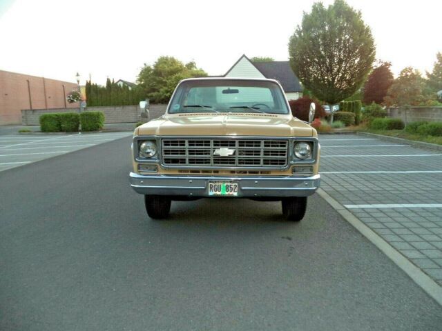 1977 Chevrolet C/K Pickup 2500 - photo 7