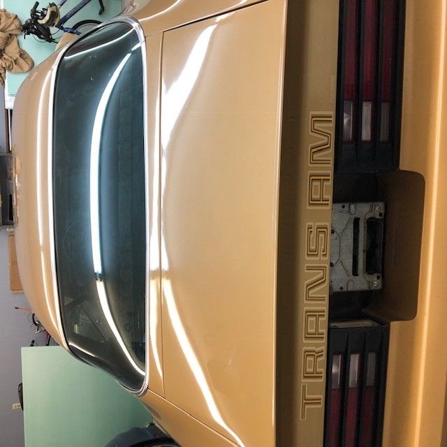 1978 Pontiac Trans Am - photo 8