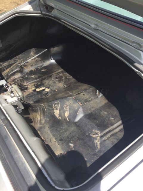 1979 Pontiac Trans Am - photo 11