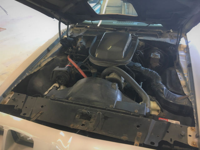 1979 Pontiac Trans Am - photo 13