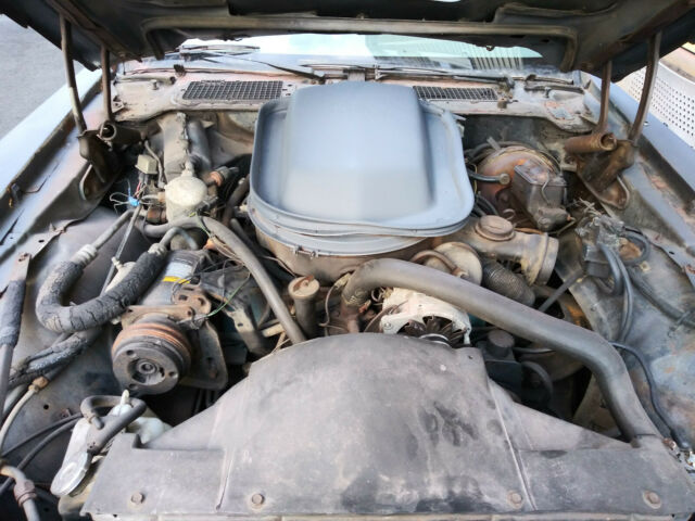 1979 Pontiac Trans Am 10th Anniversary - photo 8