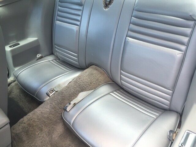 1979 Pontiac Trans Am - photo 7