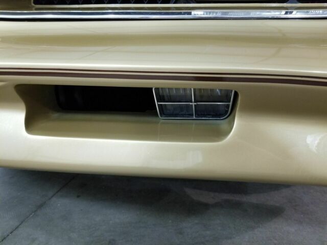 1978 Pontiac Trans Am GoldBird SE Y88 W72 WS6 Paint code 50 AC - photo 12