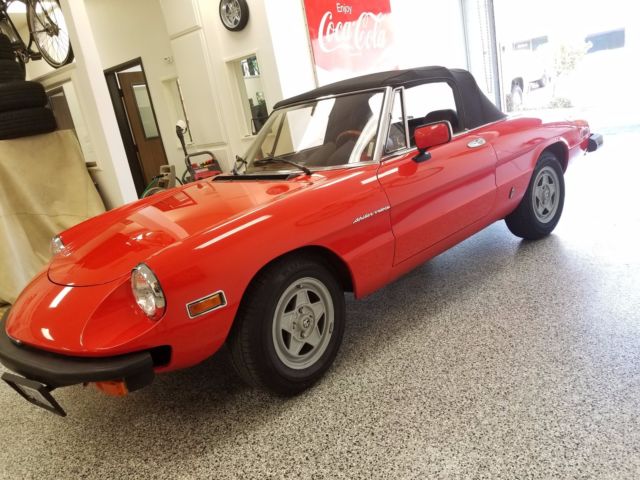 1982 Alfa Romeo Spider - photo 3