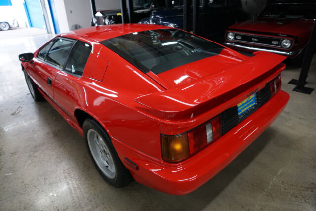 1989 Lotus Espirit SE Turbo WITH 17K ORIG MILES -- - photo 13