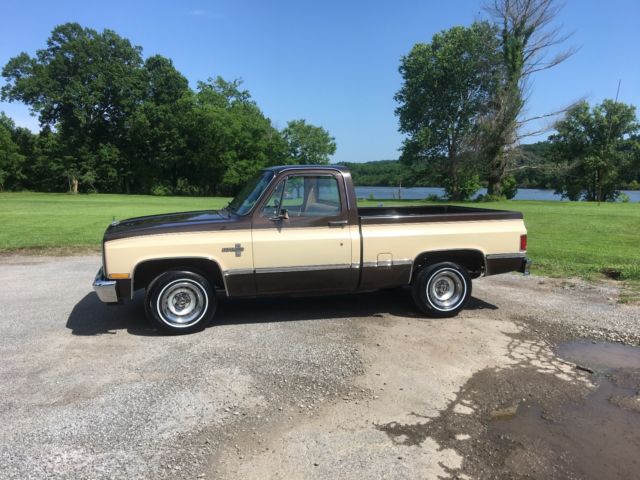 1984 Chevrolet C-10 silverado - photo 2