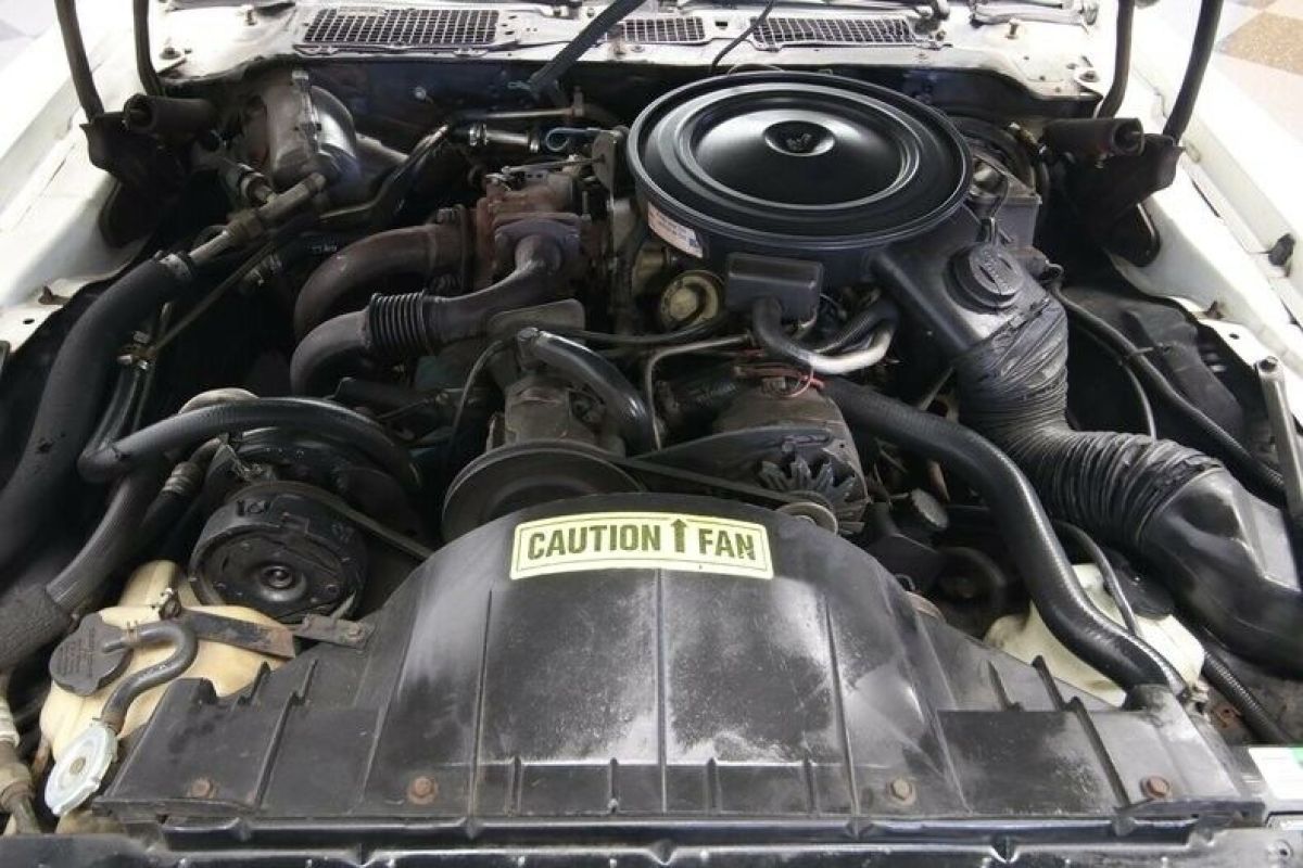 1980 Pontiac Firebird Trans Am Pace Car - photo 4