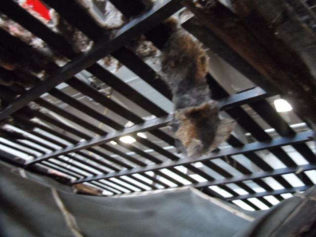 1928 Buick Other - photo 11