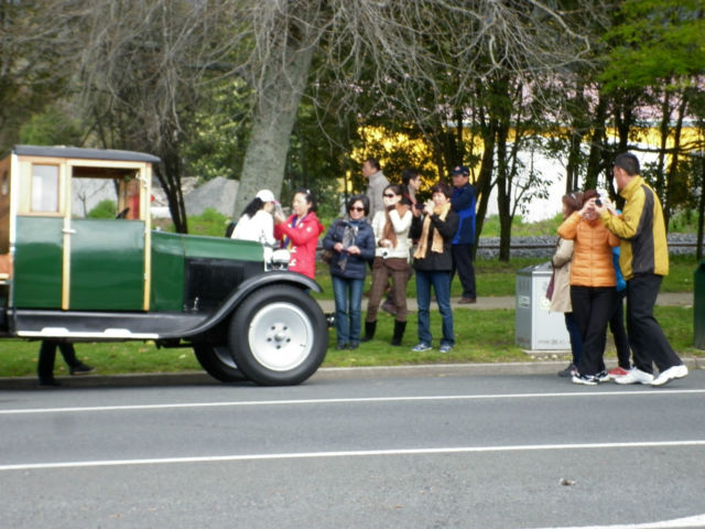 1928 Ford Model A Timber, Kauri, Rimu - photo 12