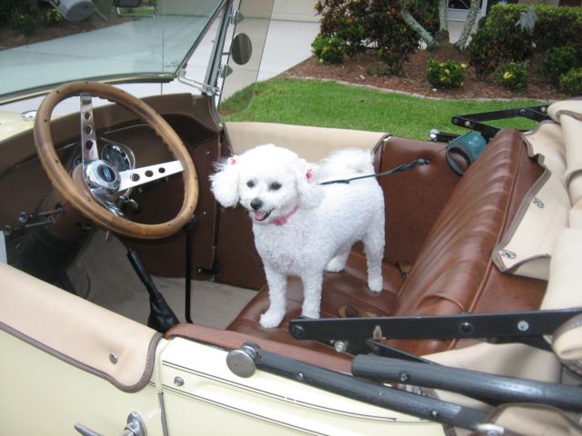 1980 Ford Model A DeLuxe - photo 8