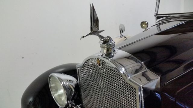 1929 Packard Dietrich Dual Cowl Phaeton - photo 5