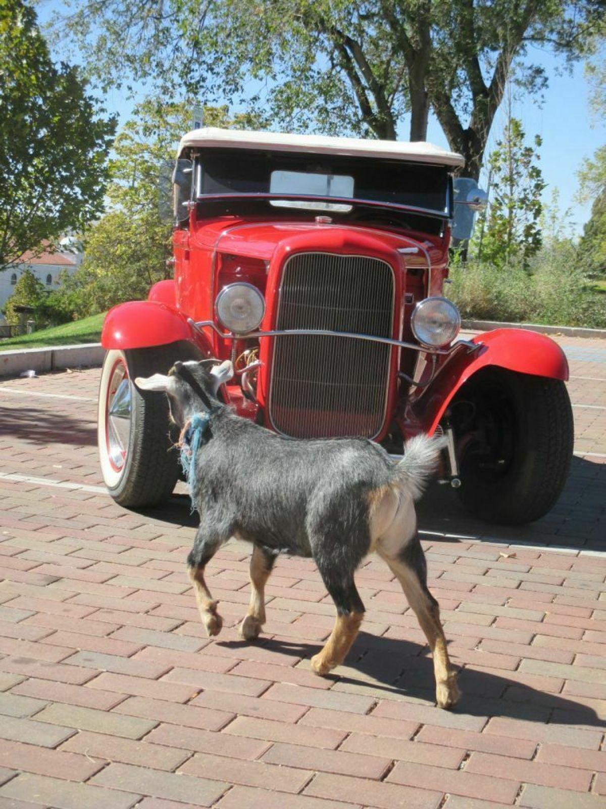 1930 HENRY STEEL MODEL A FORD ROADSTER HOT/STREET ROD VINTAGE PERIOD BUILD 1930 Ford Model A