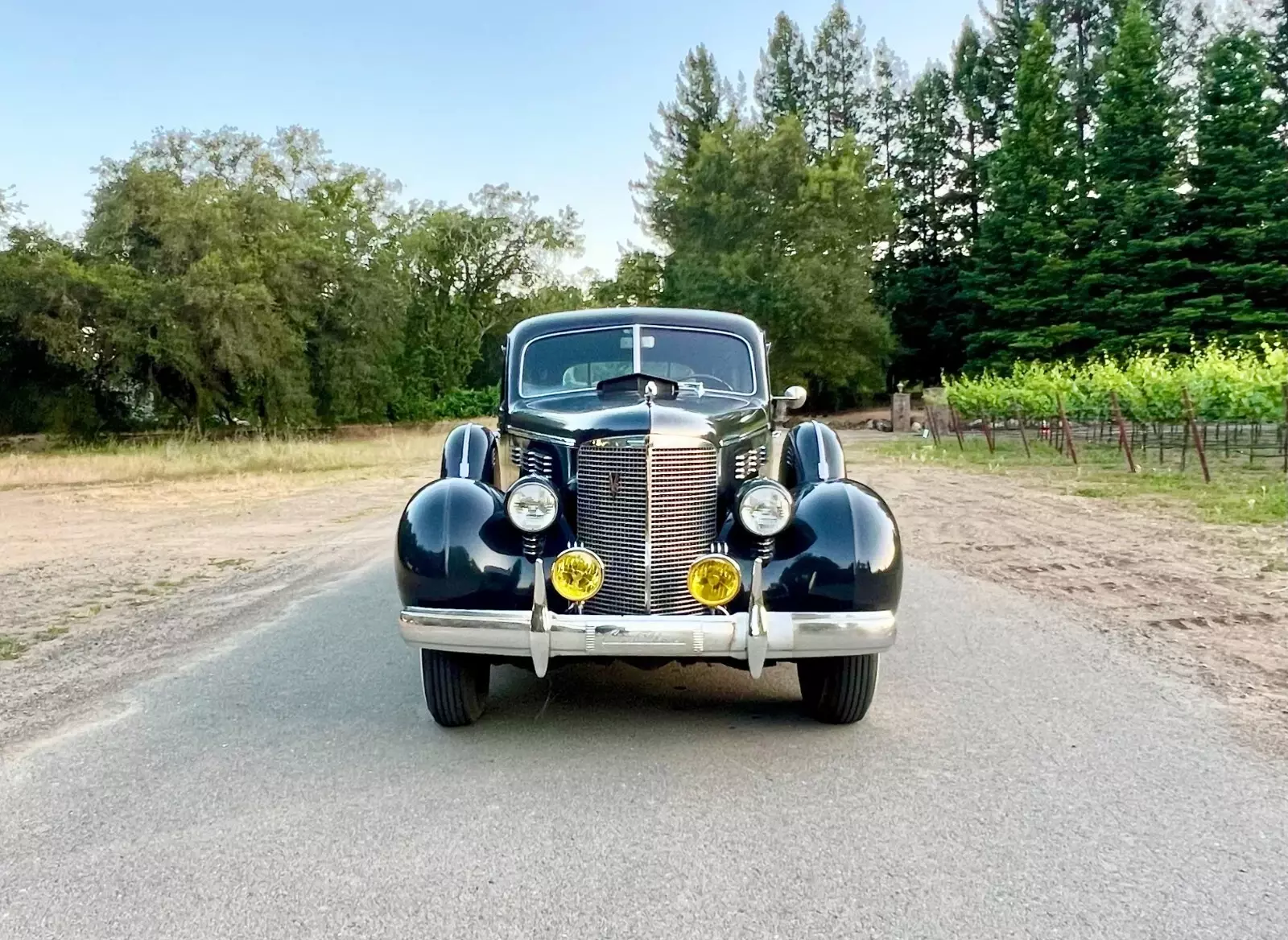 1938 Cadillac Fleetwood Imperial Series 75 Limousine - photo 12