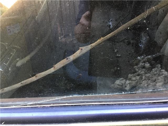 1941 Cadillac SERIES 63 -- - photo 10