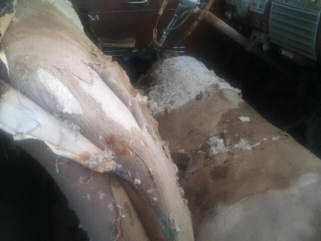 1941 Pontiac Other - photo 11