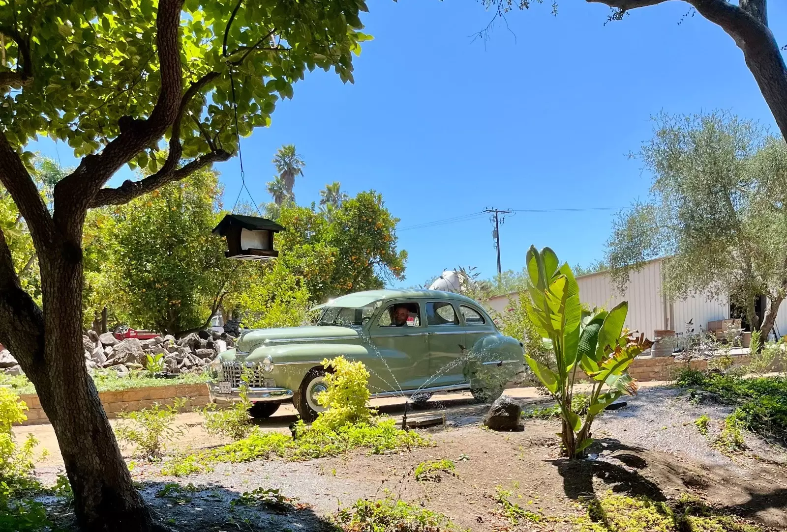 1947 Dodge Other - photo 13
