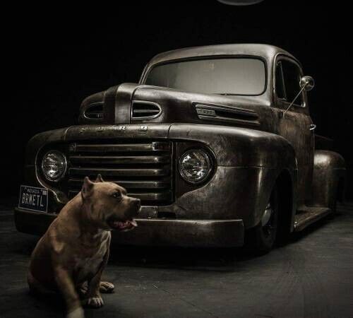 1949 Ford Other Pickups - photo 8