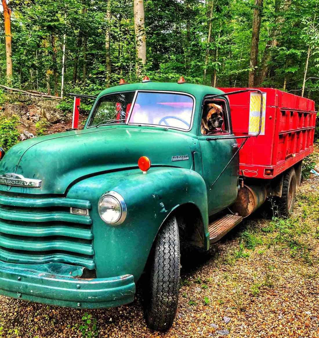 1948 Chevrolet Loadmaster Heavy Duty - photo 9
