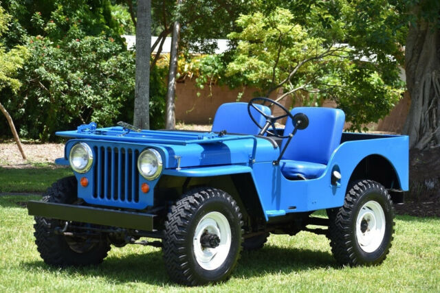 1948 Willys 1948 WILLYS CJ-2A 4X4 CJ CJ3 JEEP MILITARY NO RUST - photo 3