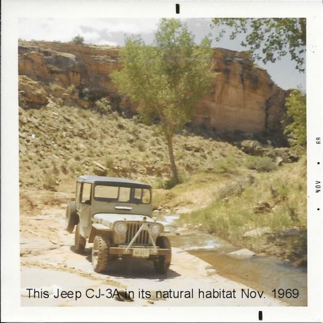 1949 Willys 439 Jeep CJ-3A - photo 2
