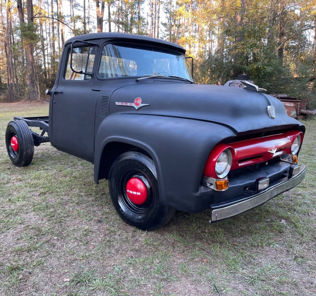 1956 Ford Other Pickups - photo 9