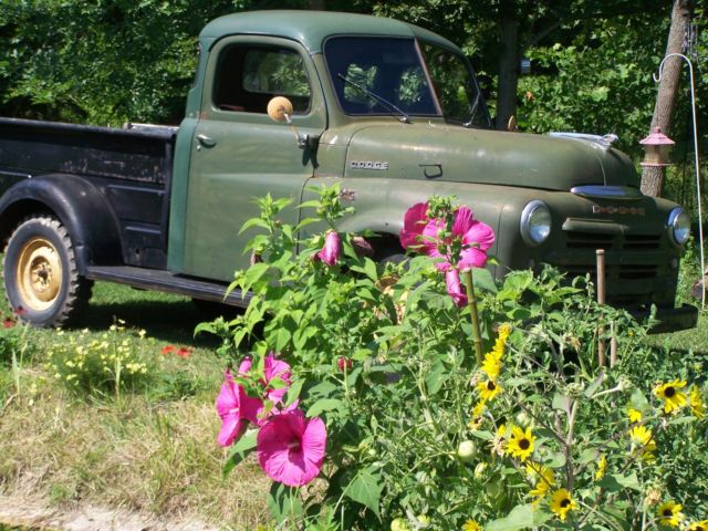 1950 Dodge Other Pickups - photo 13