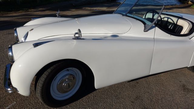 1950 Jaguar XK Base - photo 8