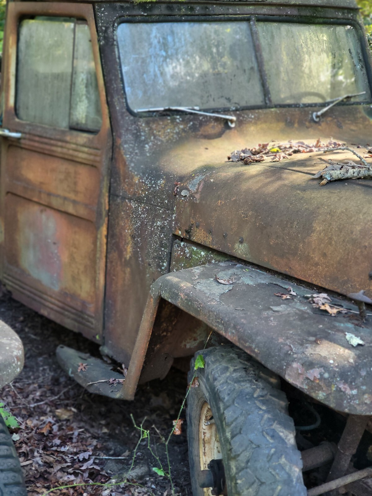 1950 Willys 4/4 Series I - photo 2