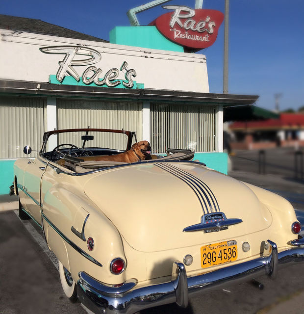1950 Pontiac Chieftain De Luxe Convertible - photo 9