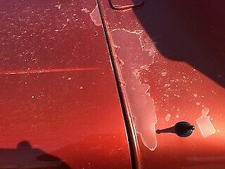 1950 Willys 4-63 Pickup - photo 7