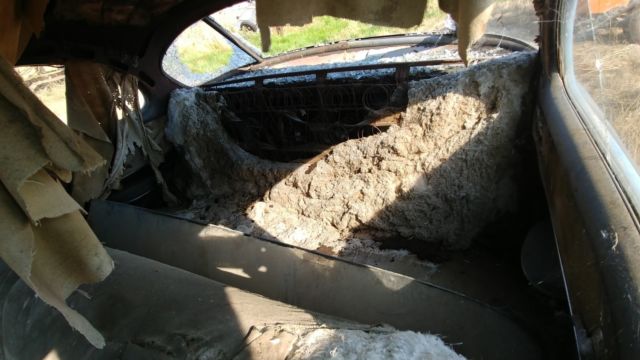 1951 Buick Other - photo 6