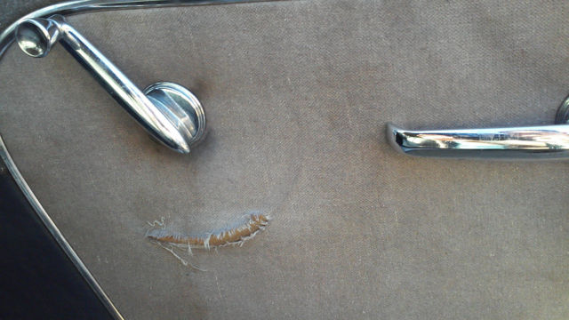 1951 Mercury Other Sport Sedan - photo 13