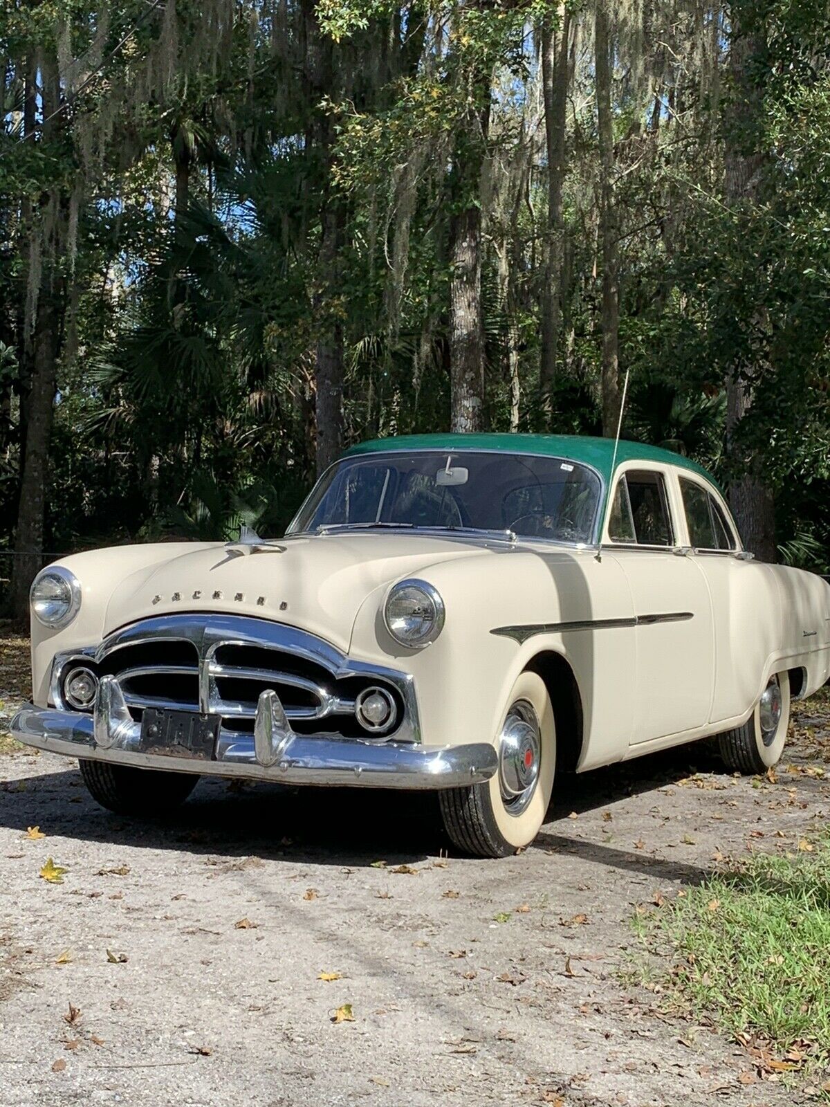 1951 Packard 200 - photo 2