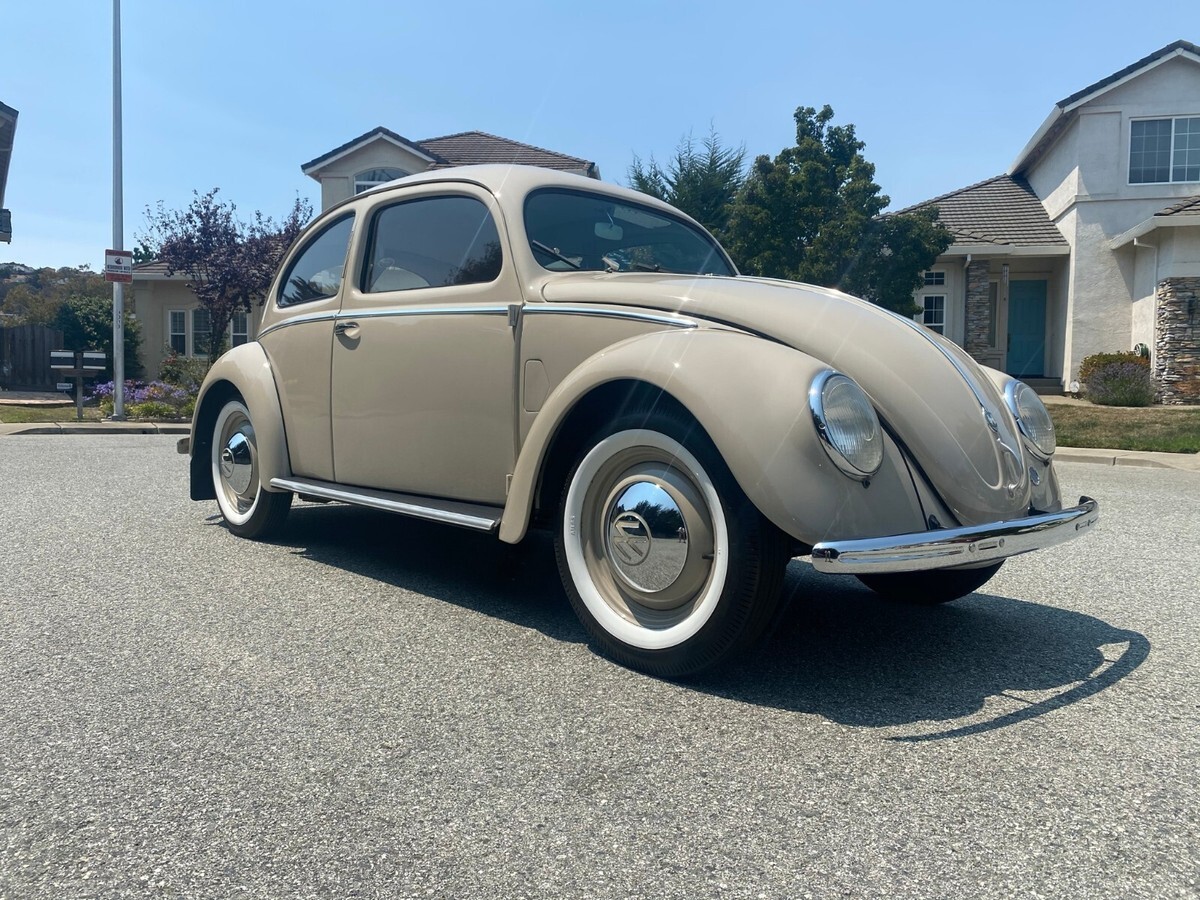 1951 Volkswagen Beetle - Classic - photo 7