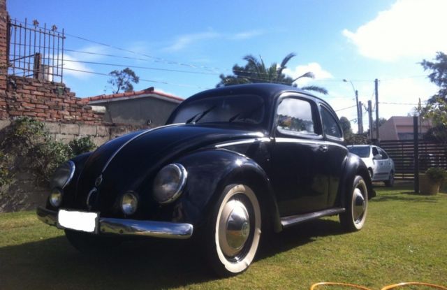 1951 Volkswagen Beetle - Classic - photo 2