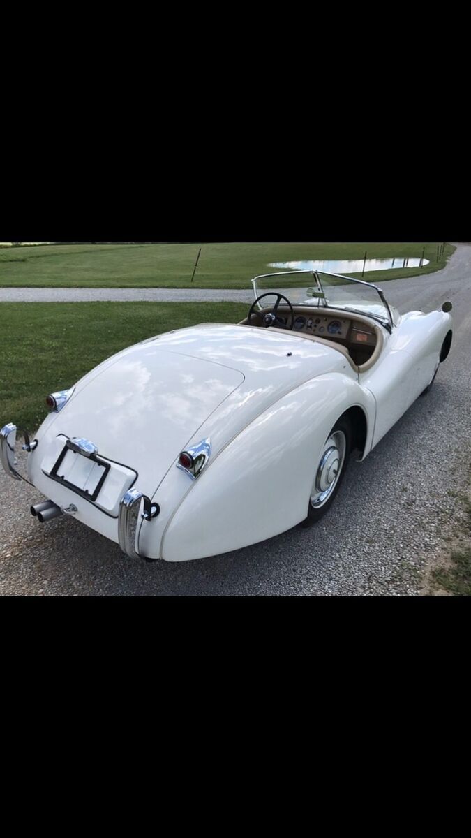 1952 Jaguar XK - photo 5