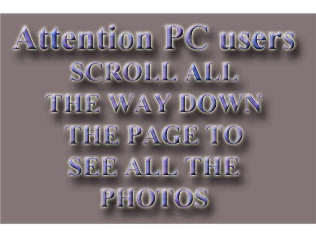 1952 Jaguar XK 2D - photo 5