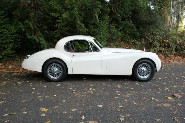 1952 Jaguar XK