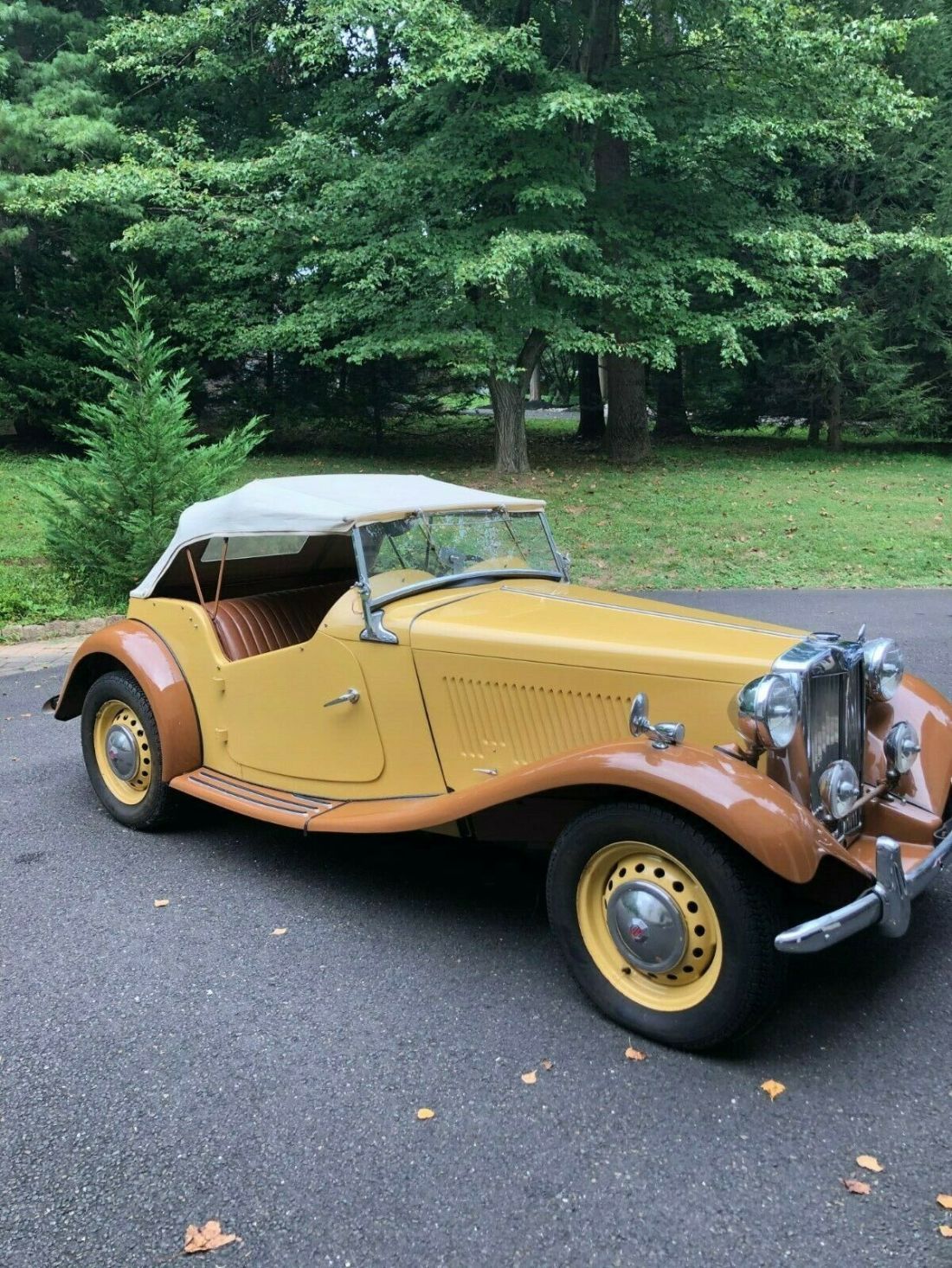 1952 MG T-Series Brown - photo 8