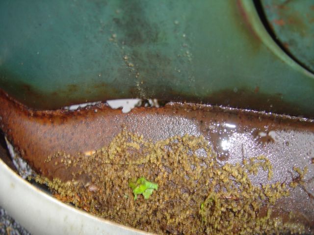 1953 Chevrolet Bel Air/150/210 210 - photo 12