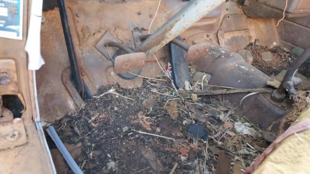 1953 Chevrolet Other - photo 7
