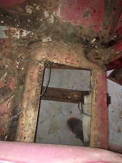 1953 Ford F-100 2 DOOR - photo 2