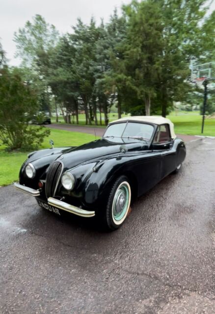 1953 Jaguar XK