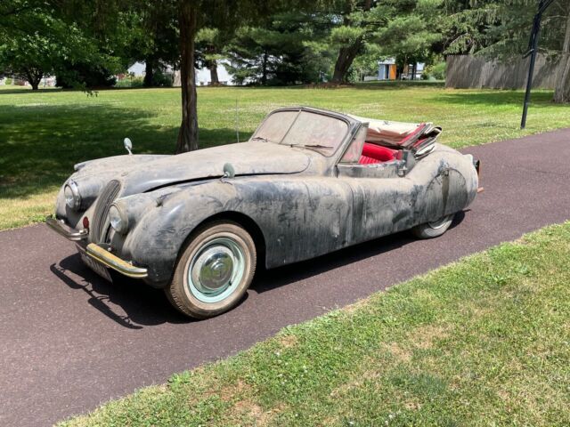 1953 Jaguar XK - photo 5