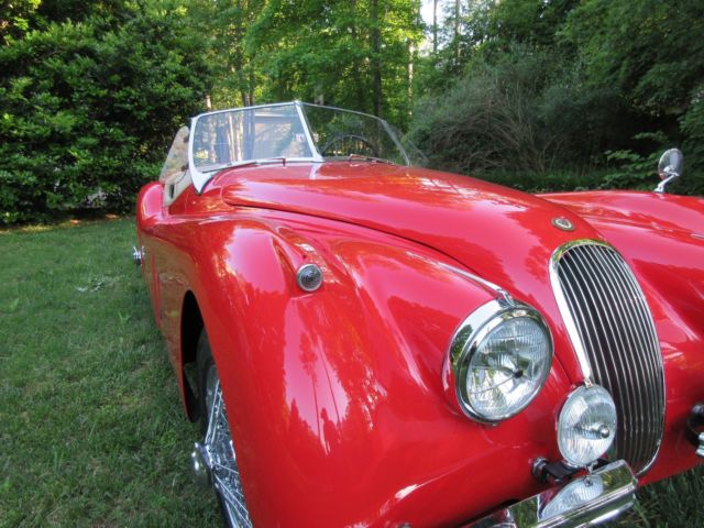 1953 Jaguar XK M / SE - photo 3