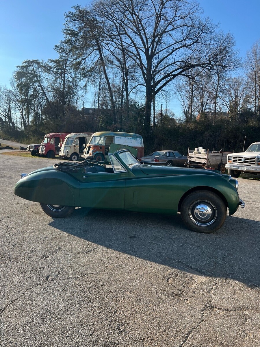 1953 Jaguar XK - photo 9