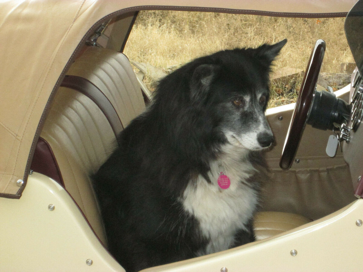 1953 MG T-Series black - photo 5