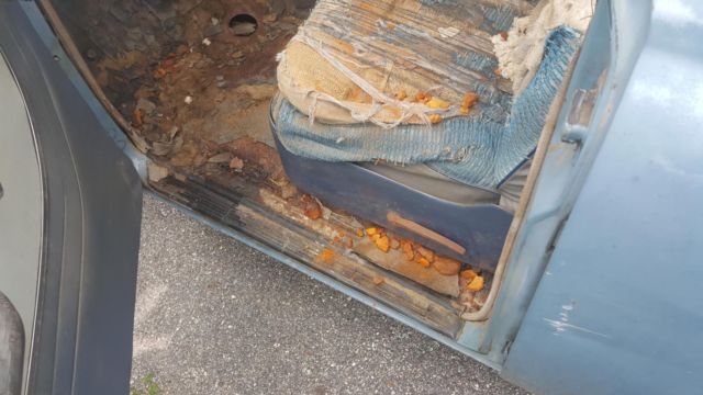 1953 Plymouth Other - photo 9